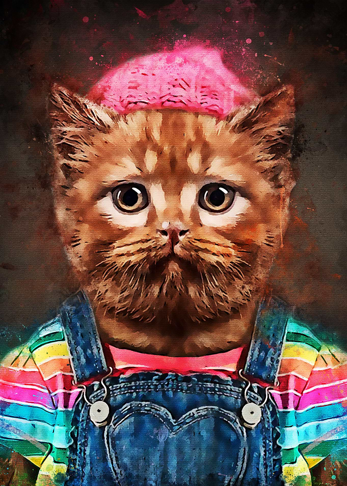 Cat Fashion