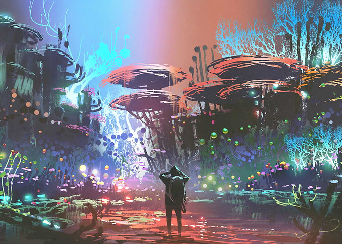 coral forest