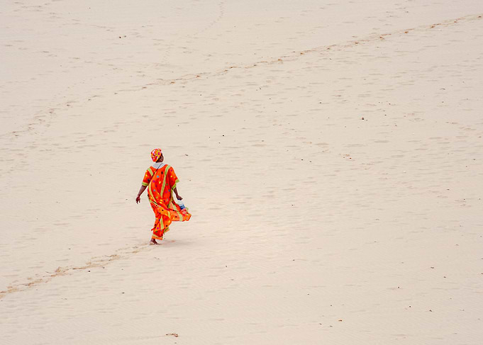 Desert Walk