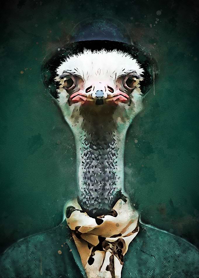 Ostrich Fashion