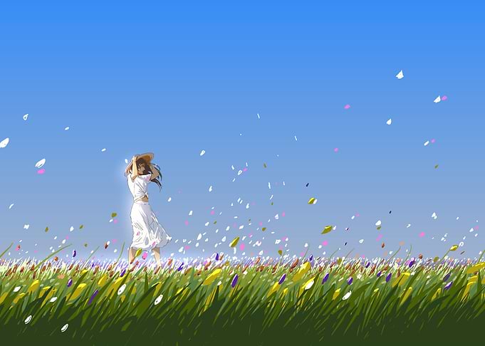 the flower summer day