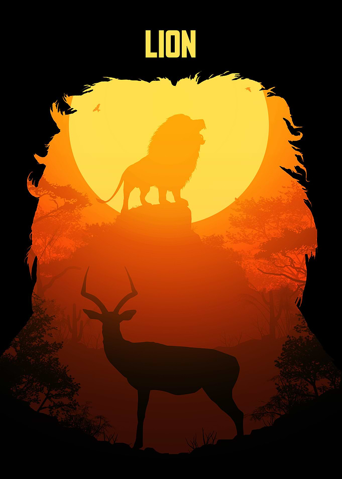 Africa Lion