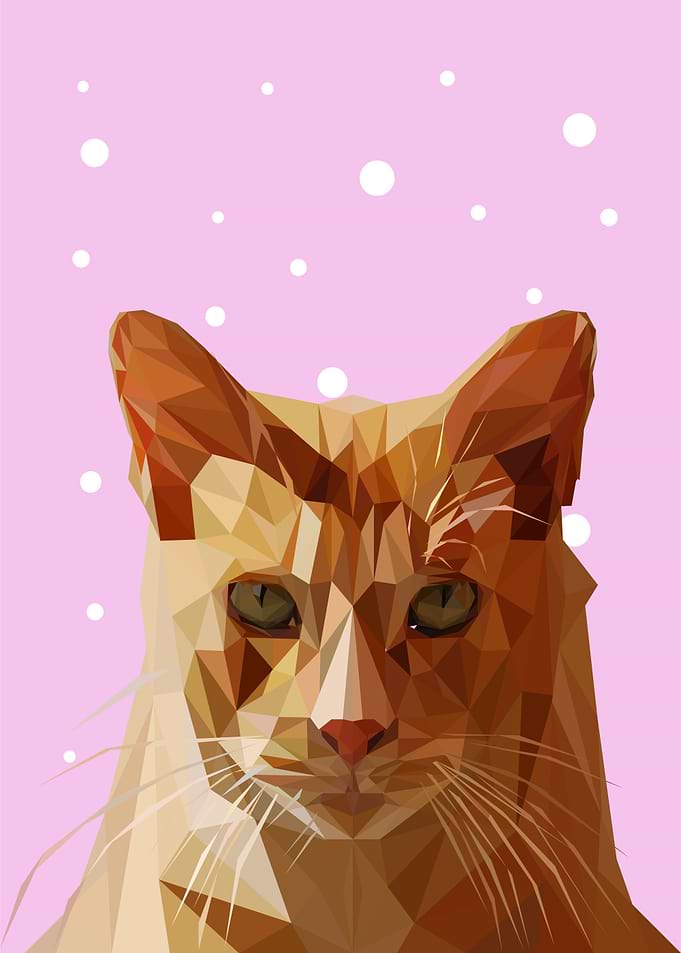 nursery animal cute cat
