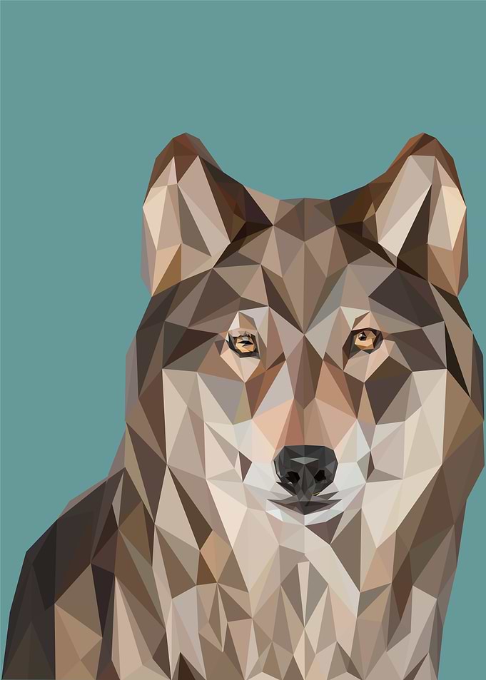 nursery animal Wolf