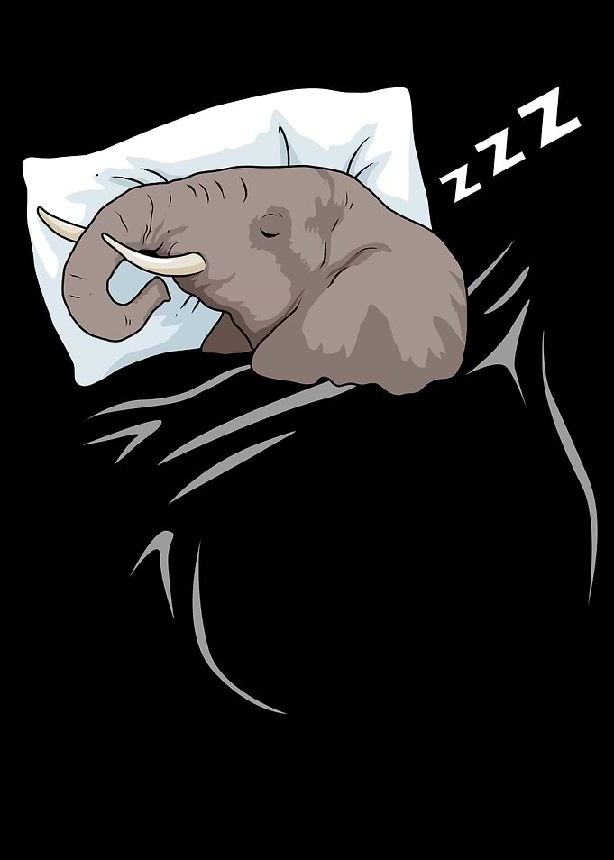 Sleeping Elephant Gift