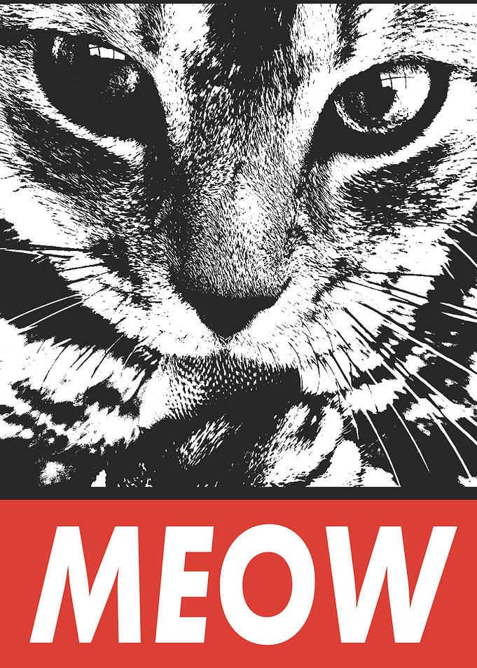 MEOW