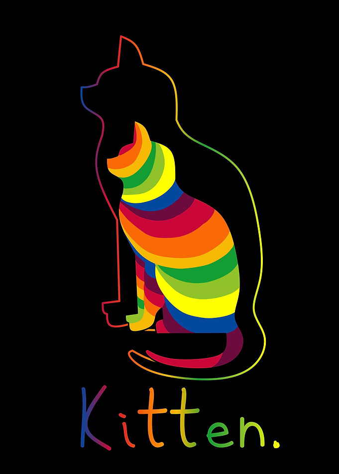 kitten cat popart