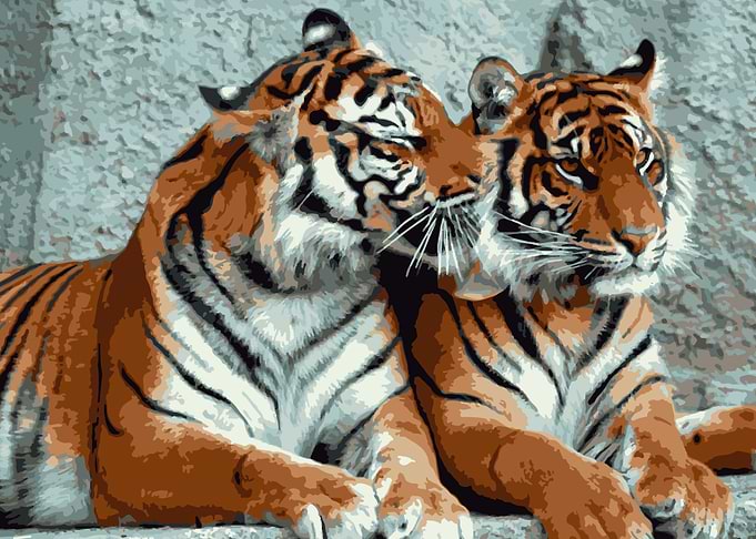 majestic tiger