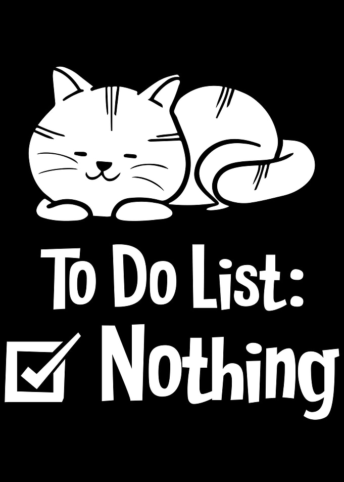 Lazy Cute Cat