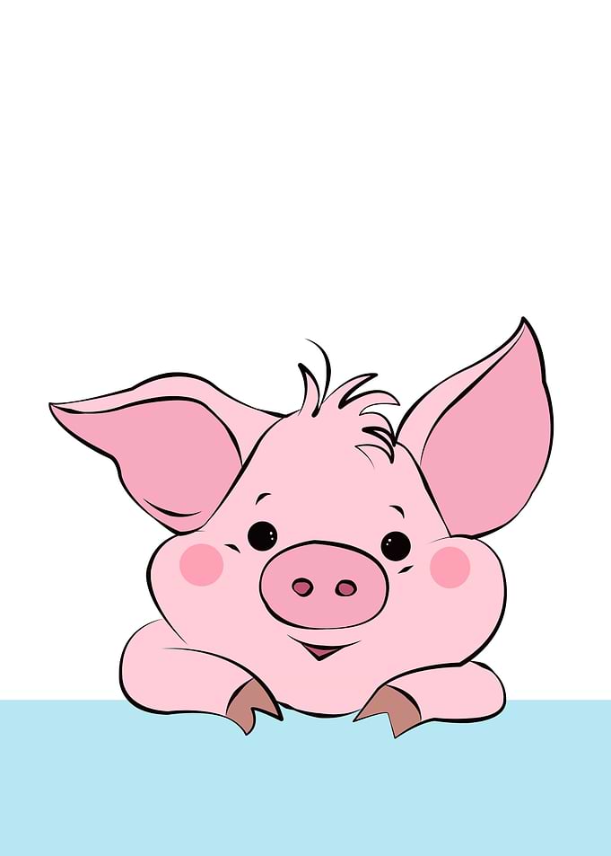 Pig Cute Animal
