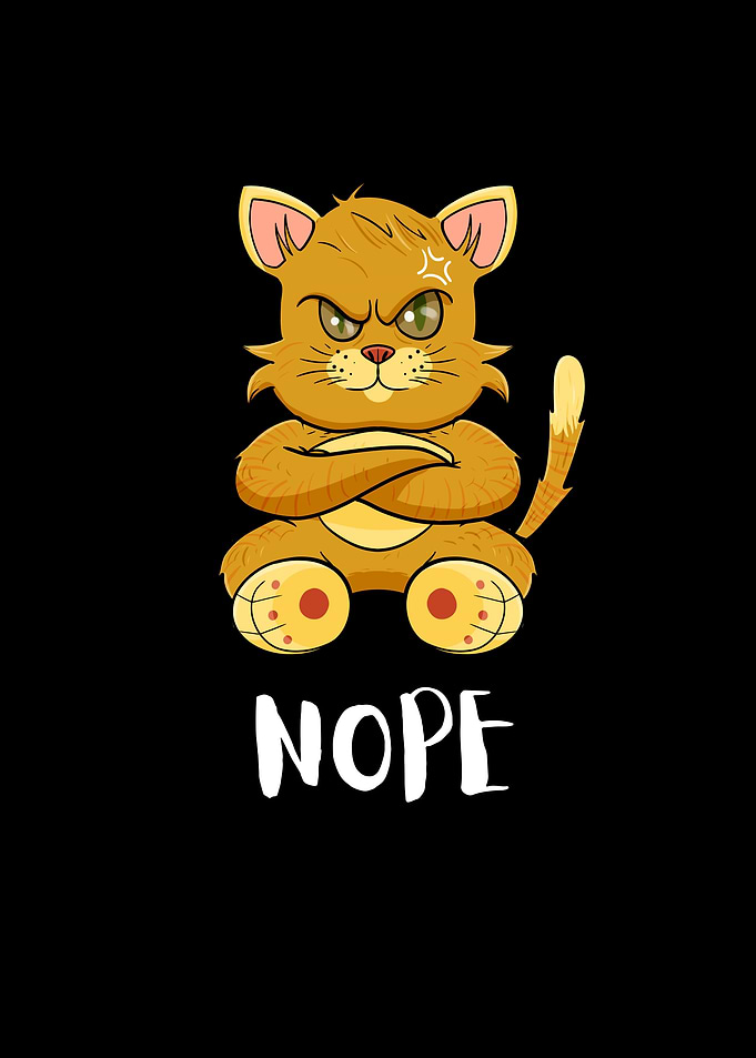 Nope Funny Lazy Cat