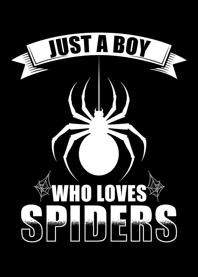 Jumping Spider