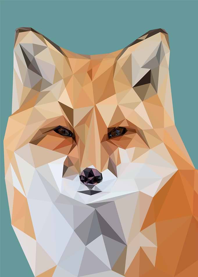 nursery animal fox