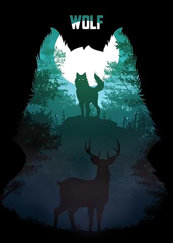 Wolf at night 01