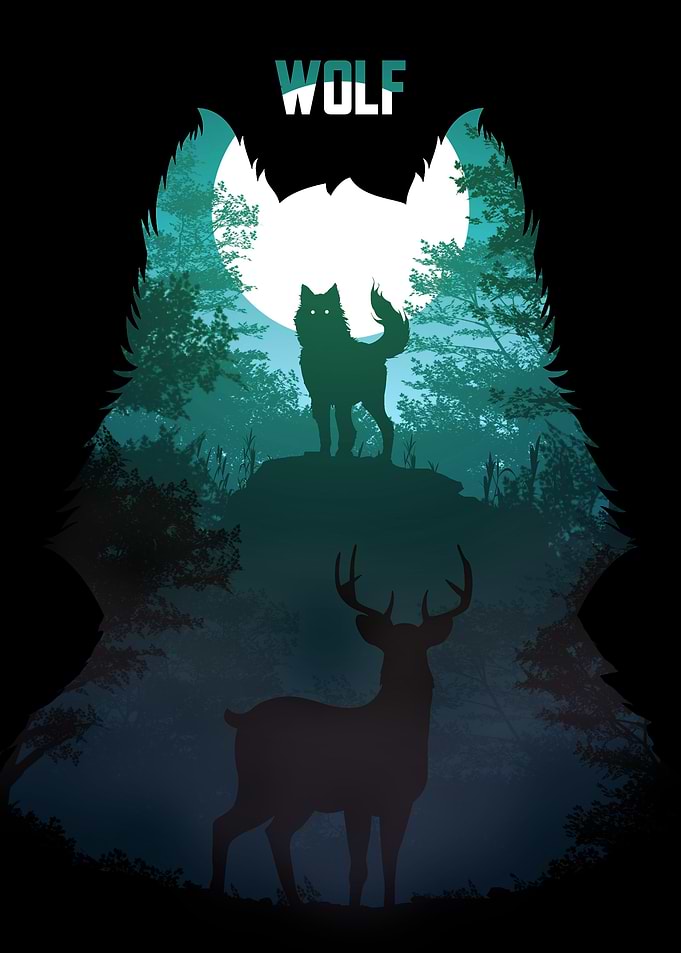 Wolf at night 01
