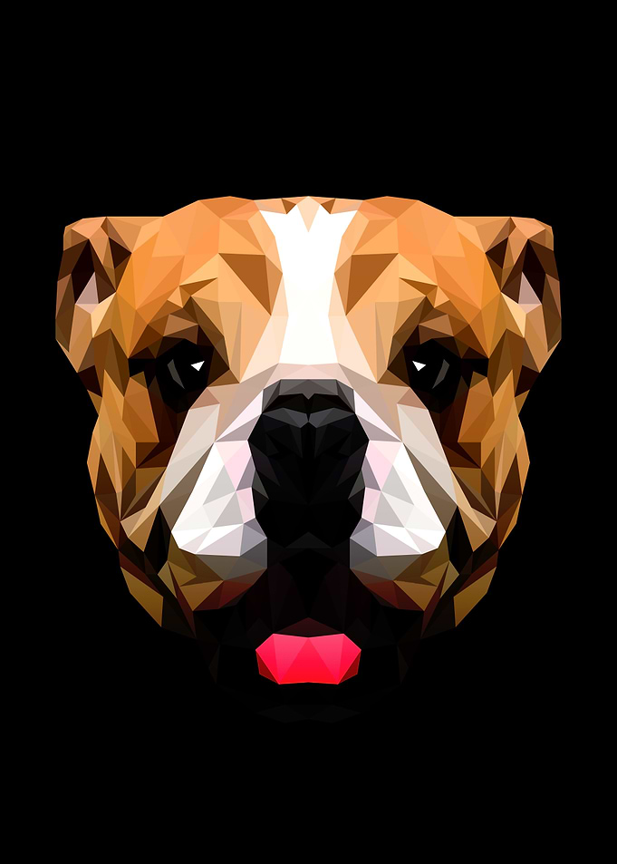Bulldog