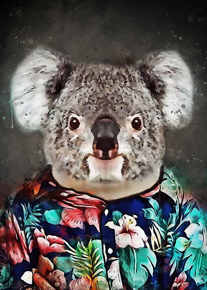 Koala Fashion