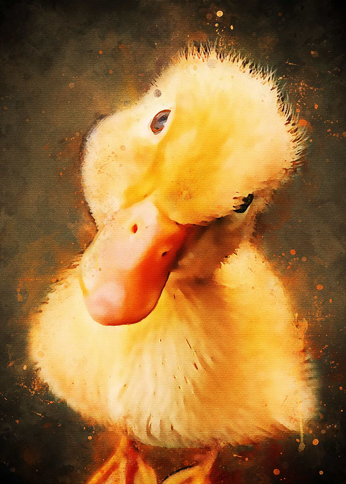 Judgmental Duck