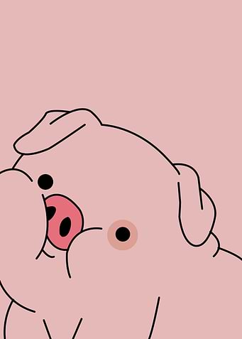 Pig Cute Animal