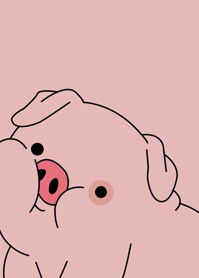Pig Cute Animal