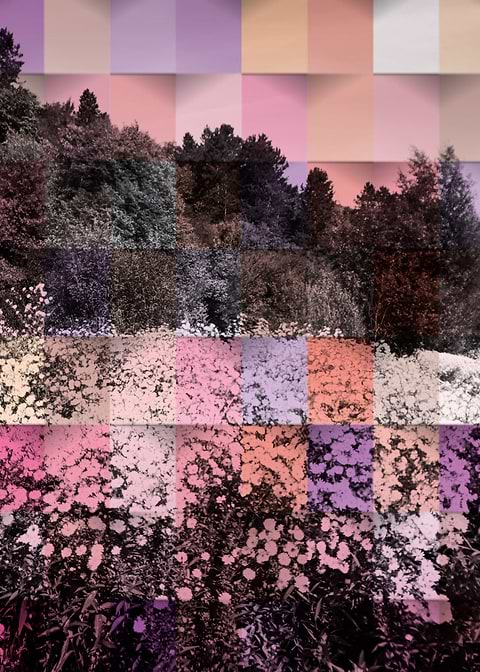 Pink checkered landscape