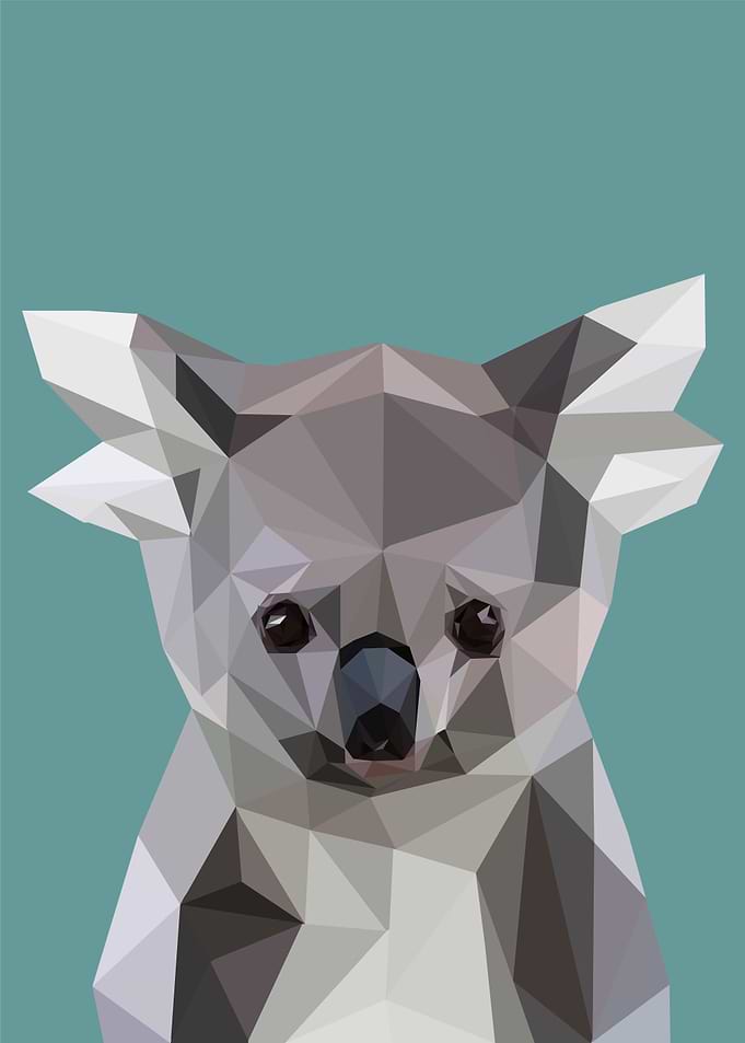 nursery animal koala