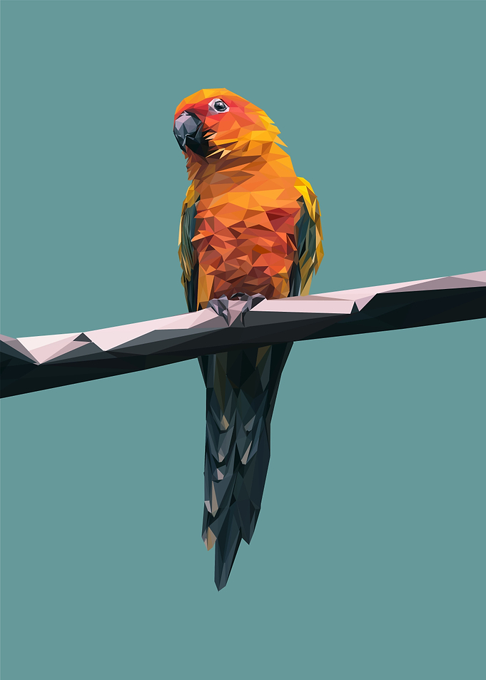 nursery animal parrot