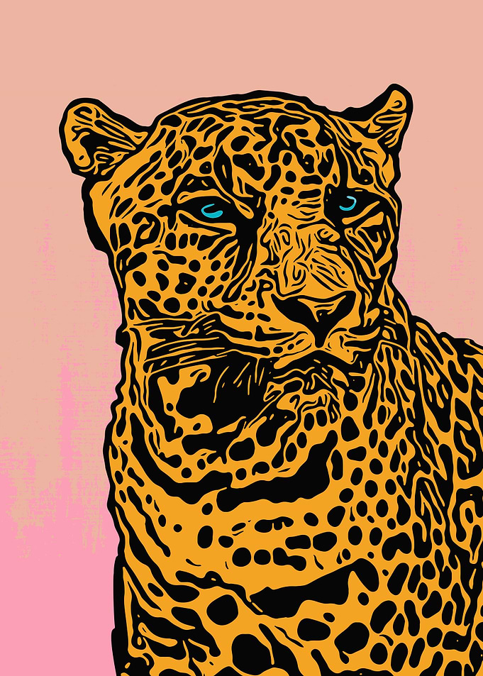 Cheetah Portrait