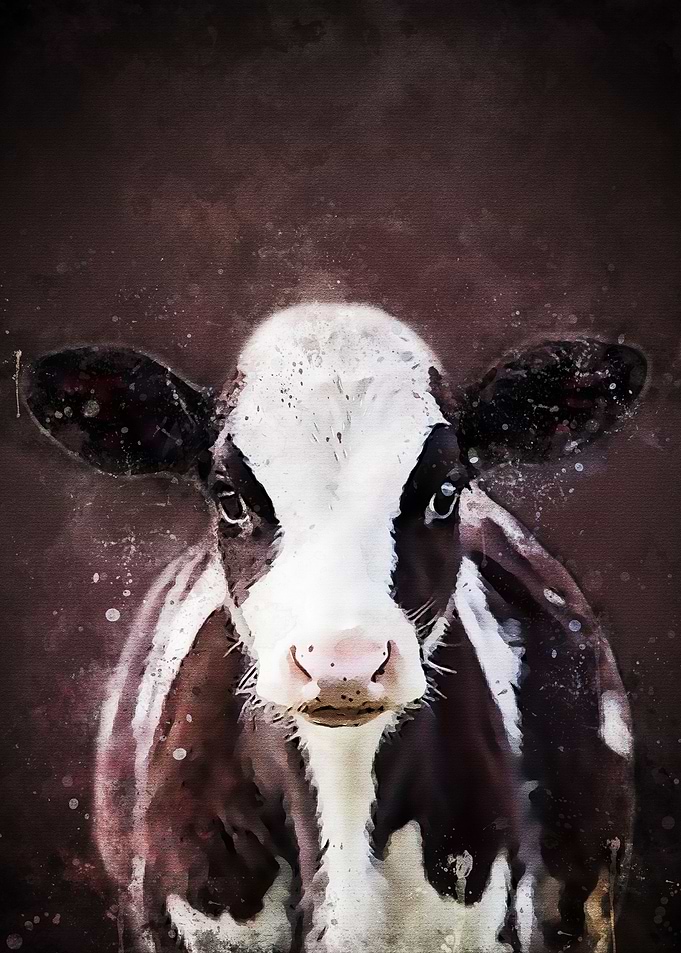 Cow Splatter