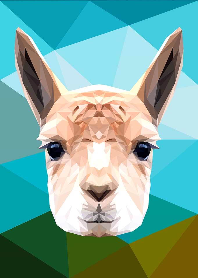 Lama