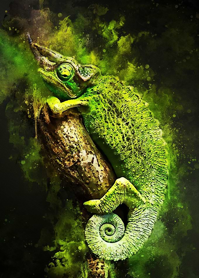 Green Animal Splatter