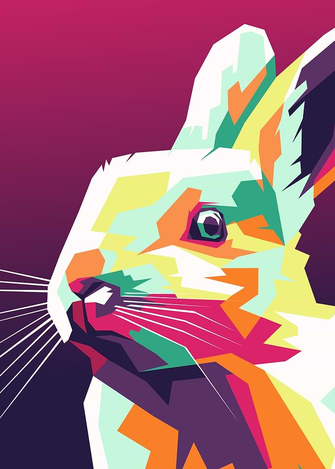 Rabbit Wpap