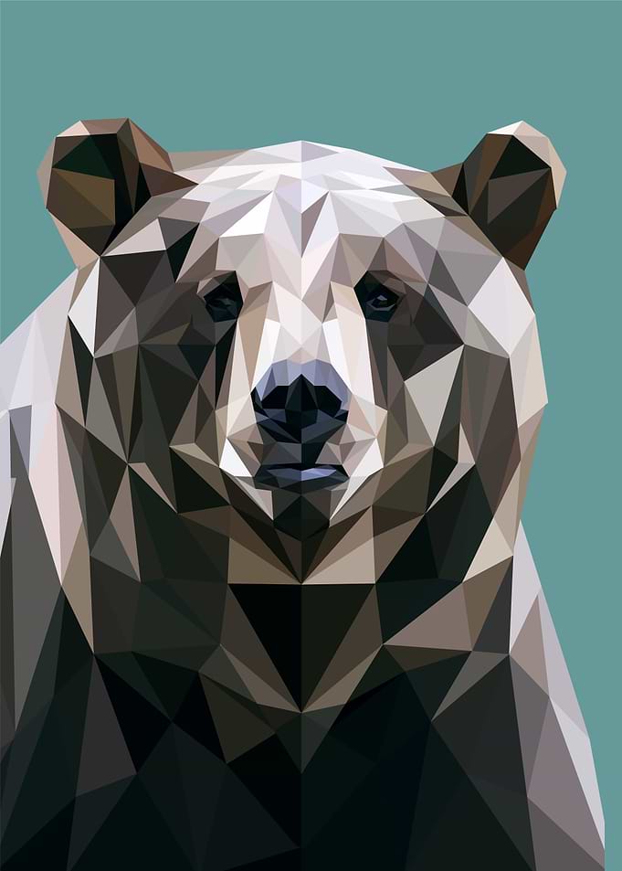 nursery animal bear