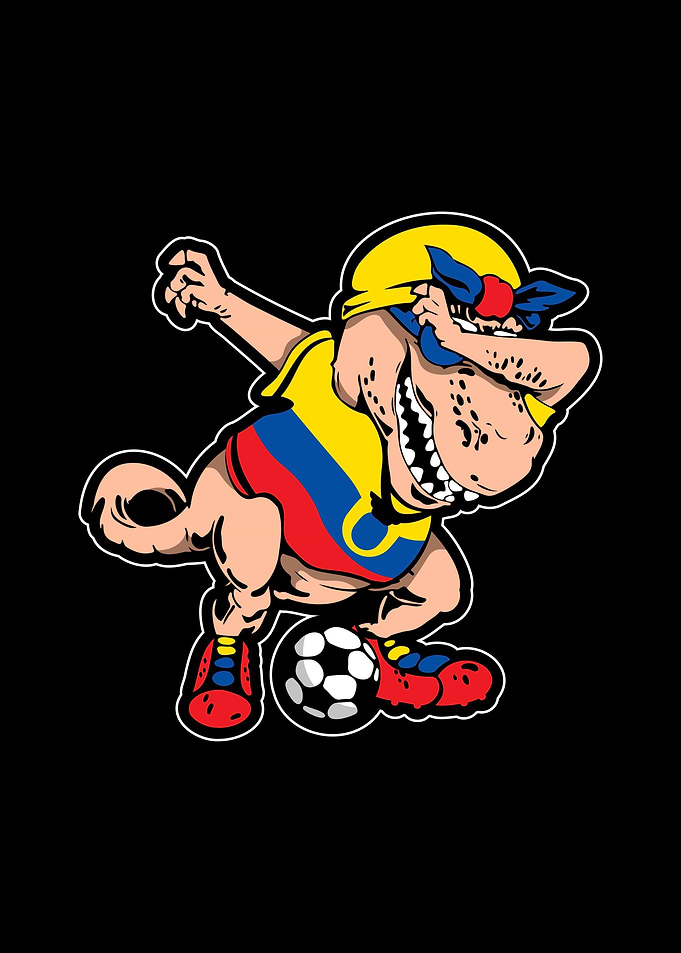 Soccer Ecuador