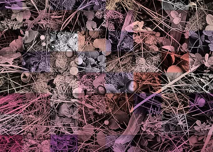 Chekered pastel earth