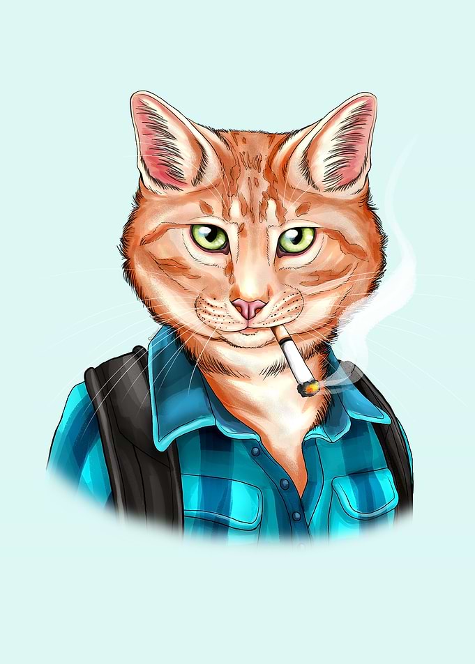 Smoking cat draw