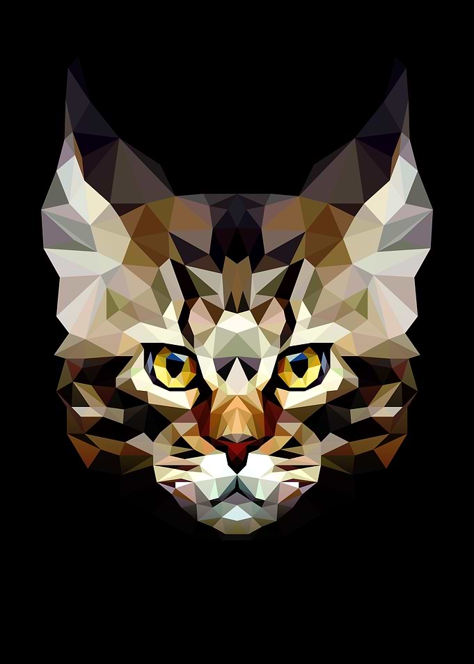Lynx