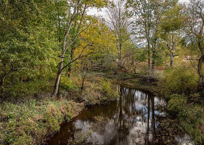Autumn at Mill Creek