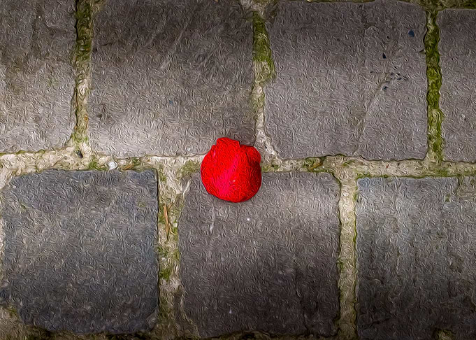The Red Point