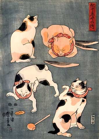 Ukiyo e Cat