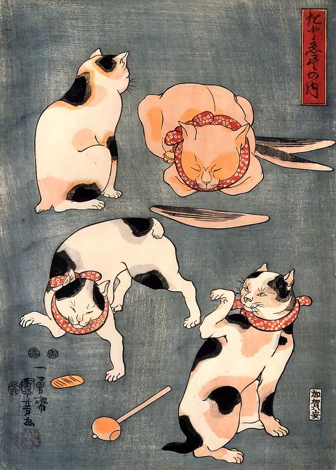 Ukiyo e Cat