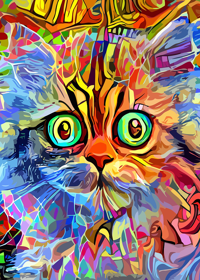 Kitten Portraiture