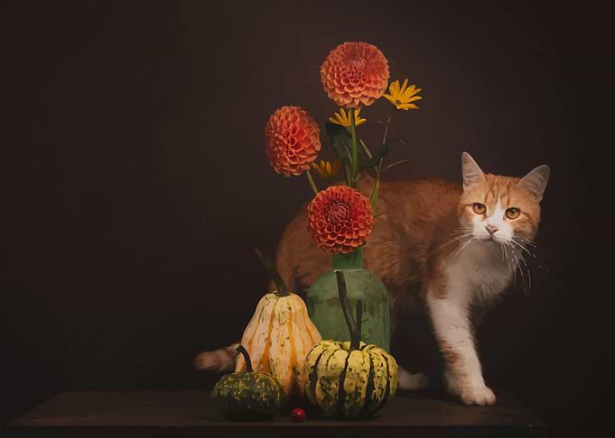Beautiful flowers