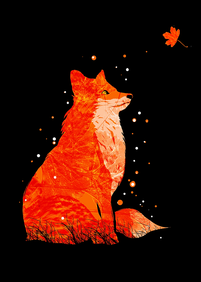 The fox
