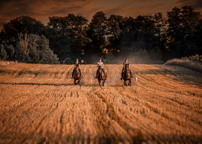 Horse,racing,cowgirl,ranch