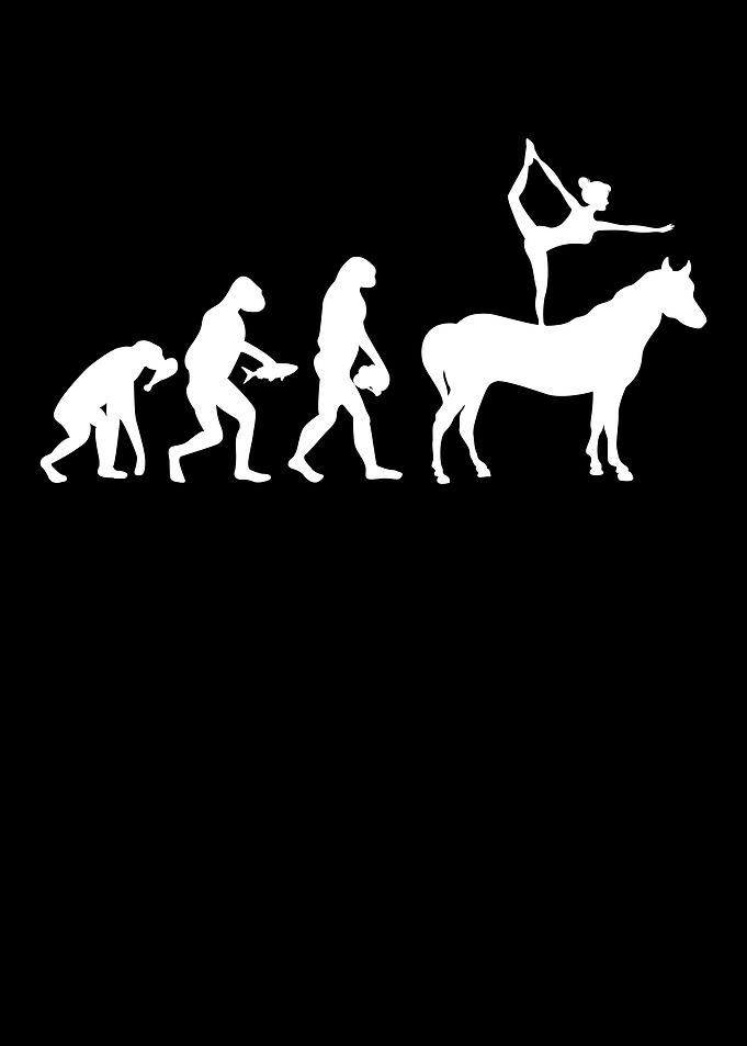 Horse Vaulting Evolution