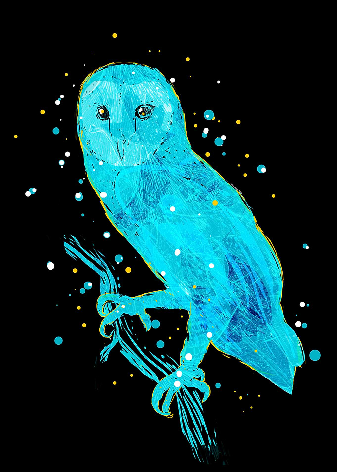 The owl