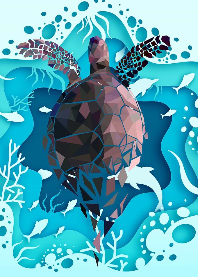 Turtle