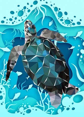 Turtle