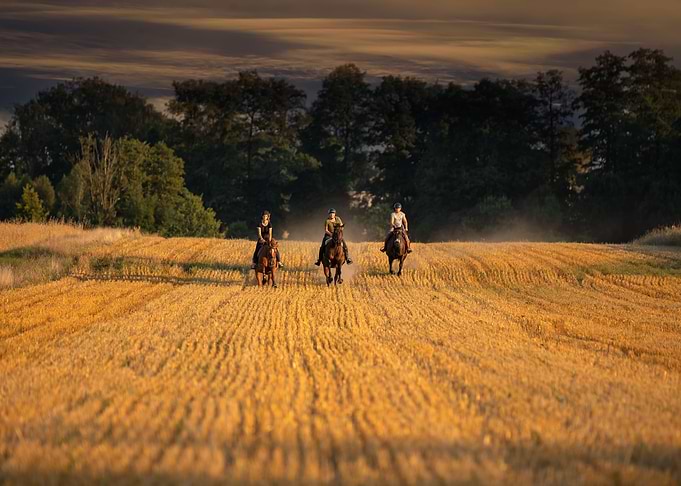 Horse,racing,cowgirl,ranch